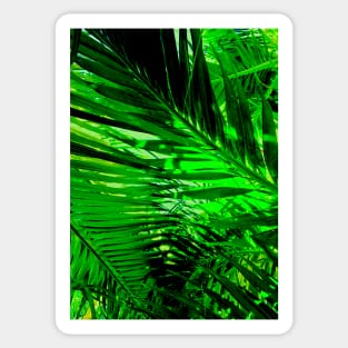 Natural Palms Sticker